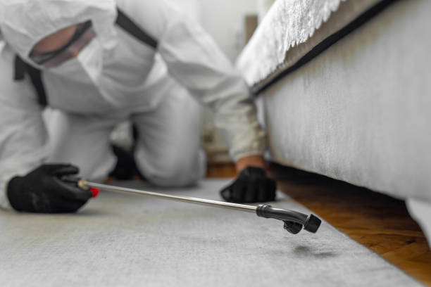 Professional Termite Control technician working in Crown Point, IN