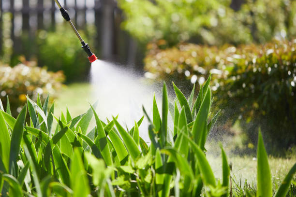 24/7 Emergency Termite Control experts in Crown Point, IN