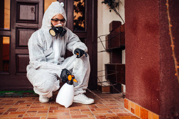 Reliable Termite Control contractor in Crown Point, IN by Nex Pest Control