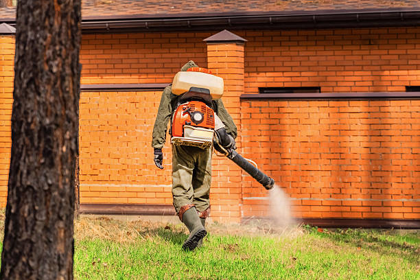 Top rated local Termite Control specialists in Crown Point, IN